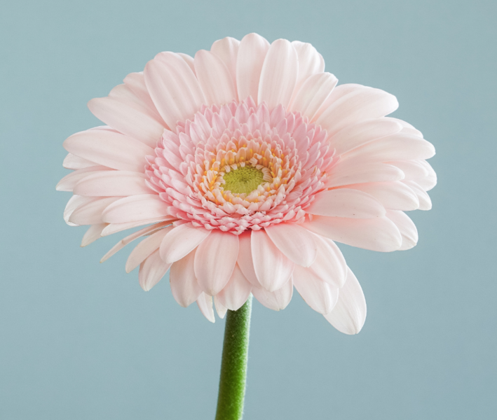 Provider image