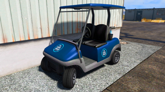 Service image