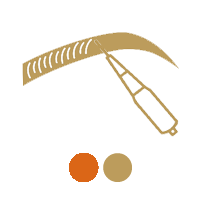 Service image