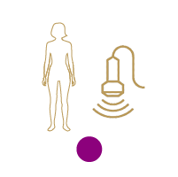 Service image