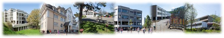 Service image