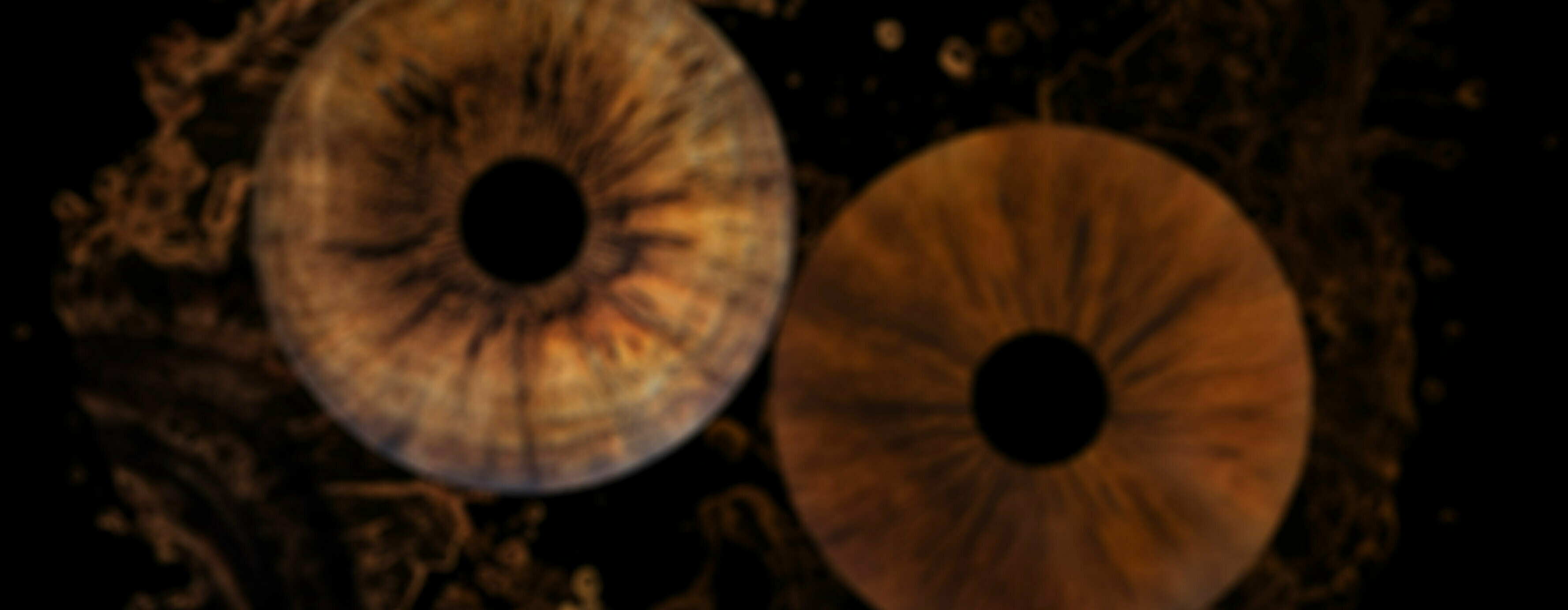 Company cover image