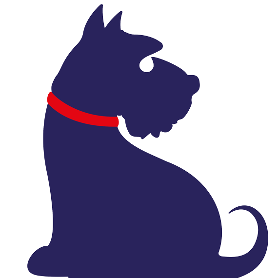 Company image