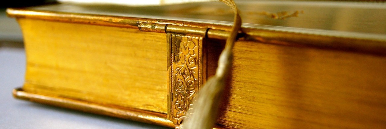 Company cover image