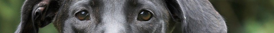Company cover image