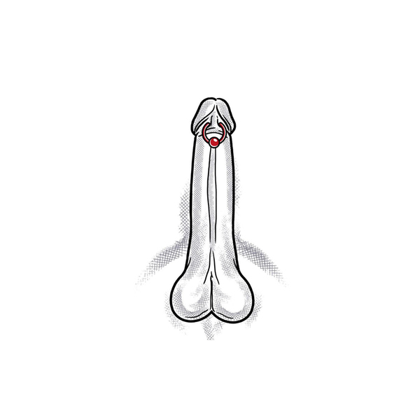 Service image