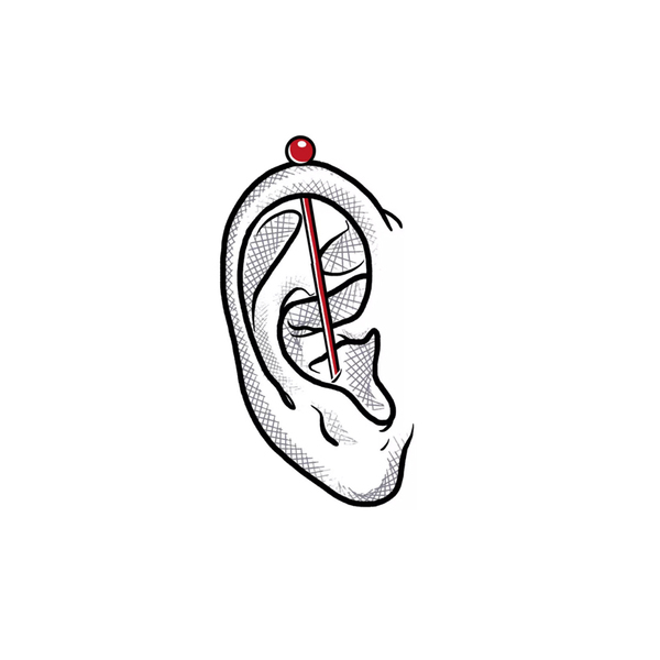 Service image