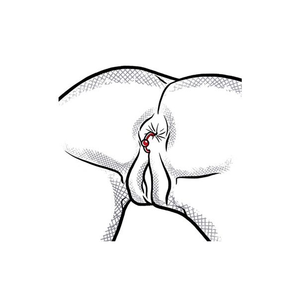 Service image
