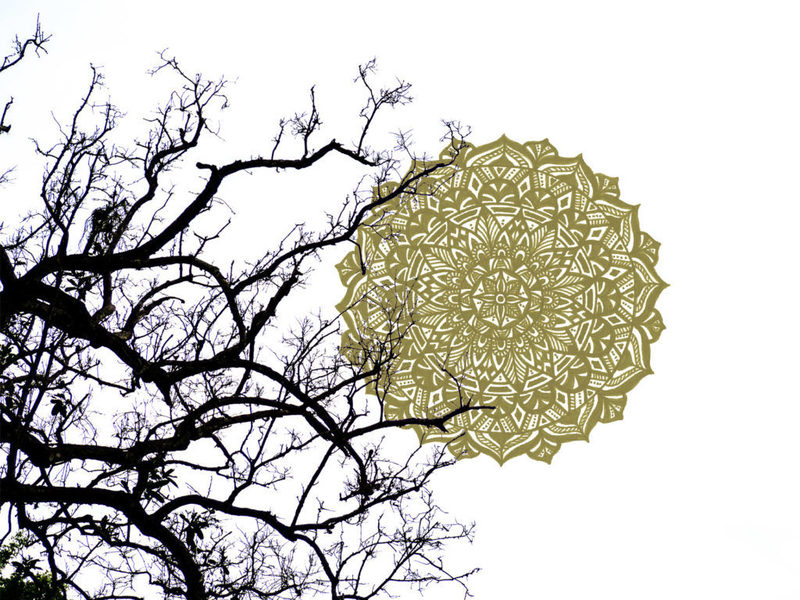 Service image