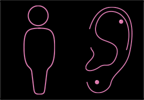Service image