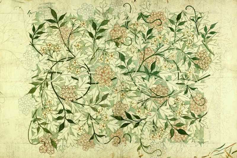Service image