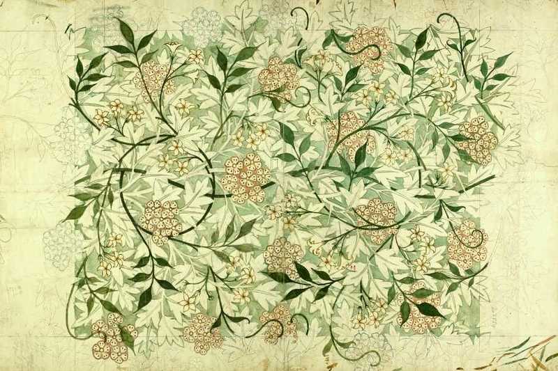 Service image