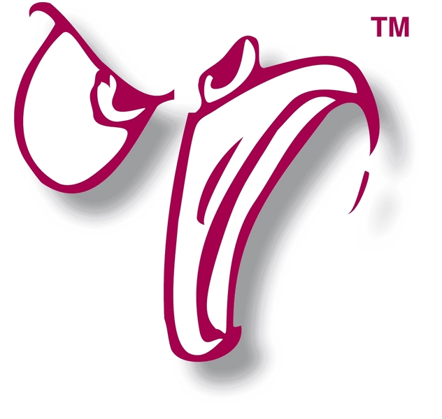 Company image
