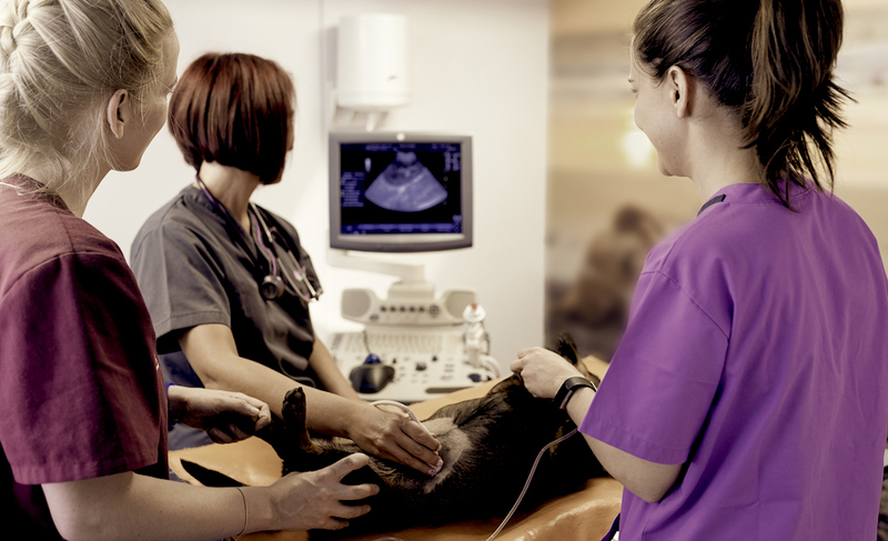 Service image