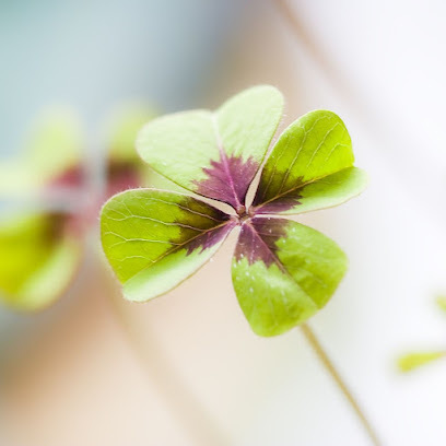 Imagem de apresentação da empresa