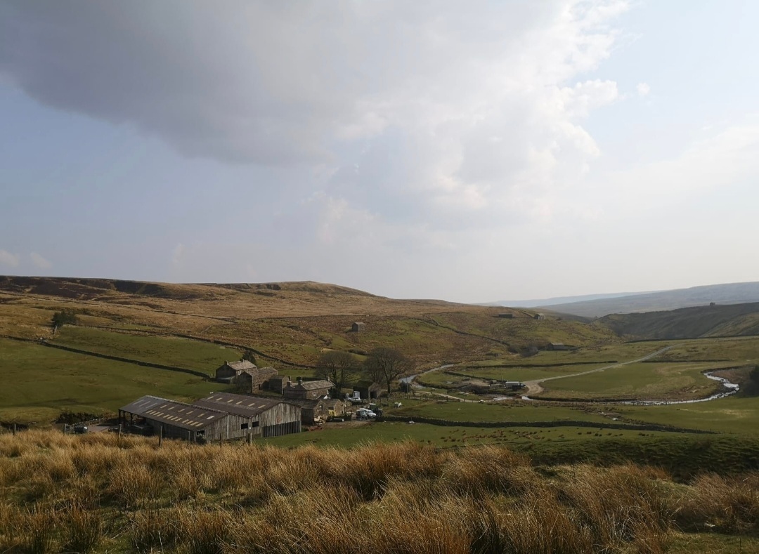 Imagem do fornecedor