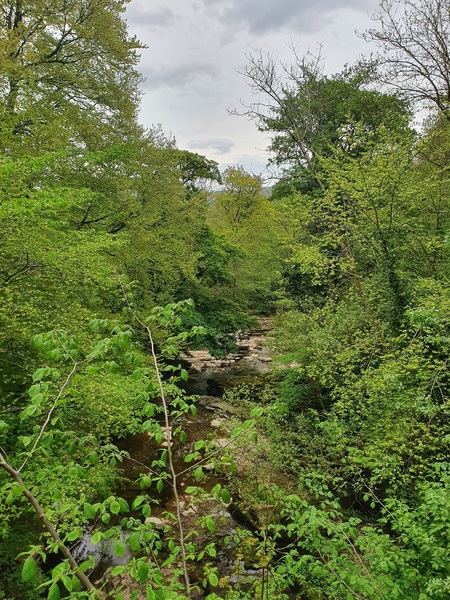 Views on the walk to Eden Viaducts from the Nateby Hub