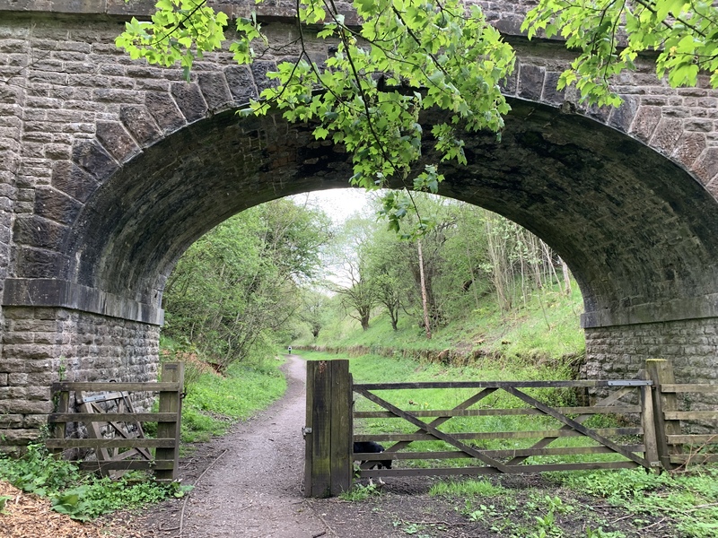 Eden Viaducts walk (Nateby Hub)