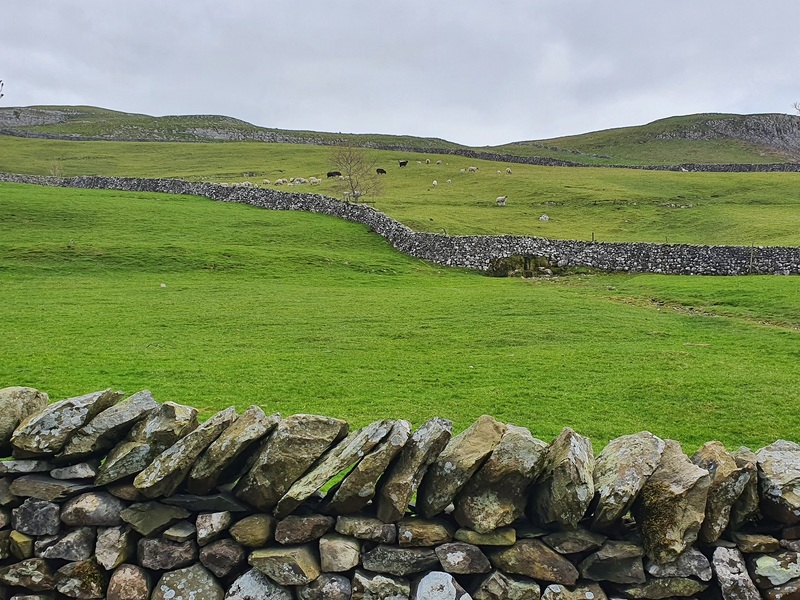 Views from the rural route in Settle
