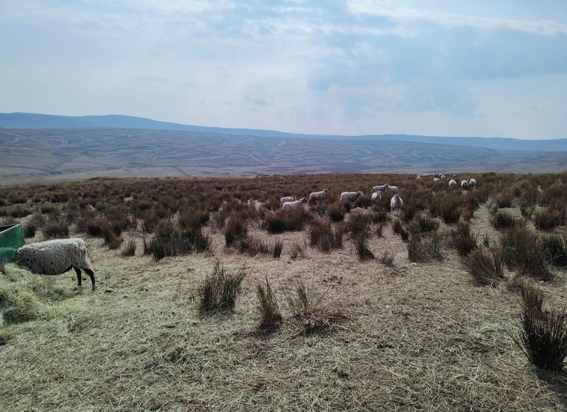 View of the fells above Ravenseat
