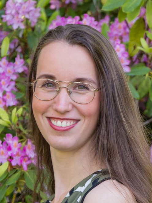 Imagem do fornecedor