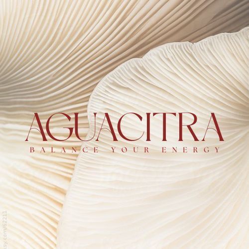 Imagem de apresentação da empresa