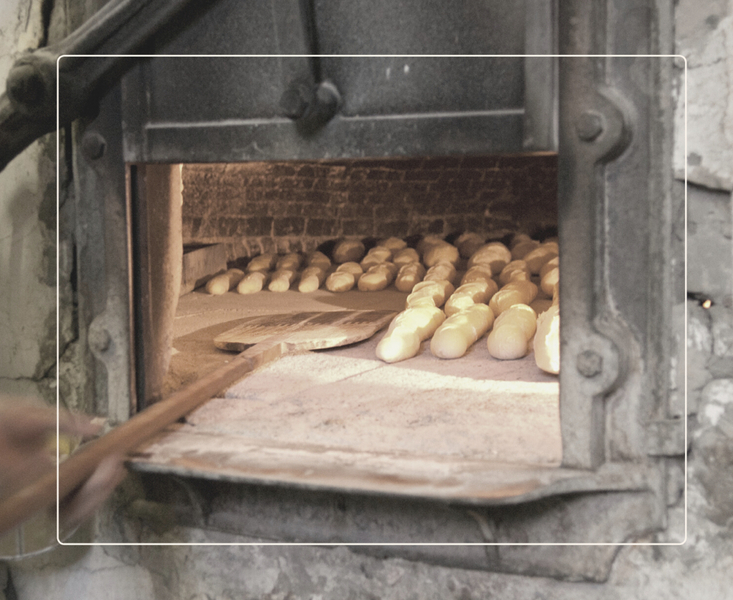 Cal Roc - ruta "Els tresors de Les Cabanyes"