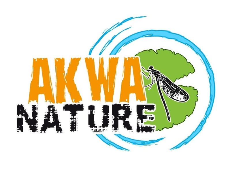 Company image