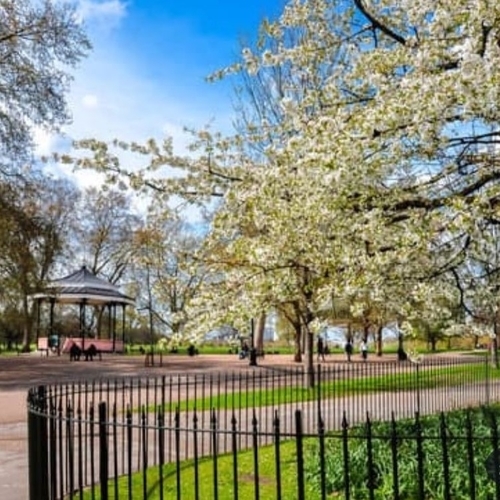 Come and visit us in a peaceful, lush garden square on the cusp of London's iconic Hyde Park.