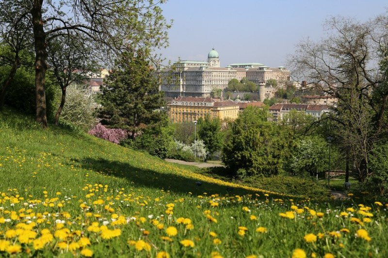 Imagem do fornecedor