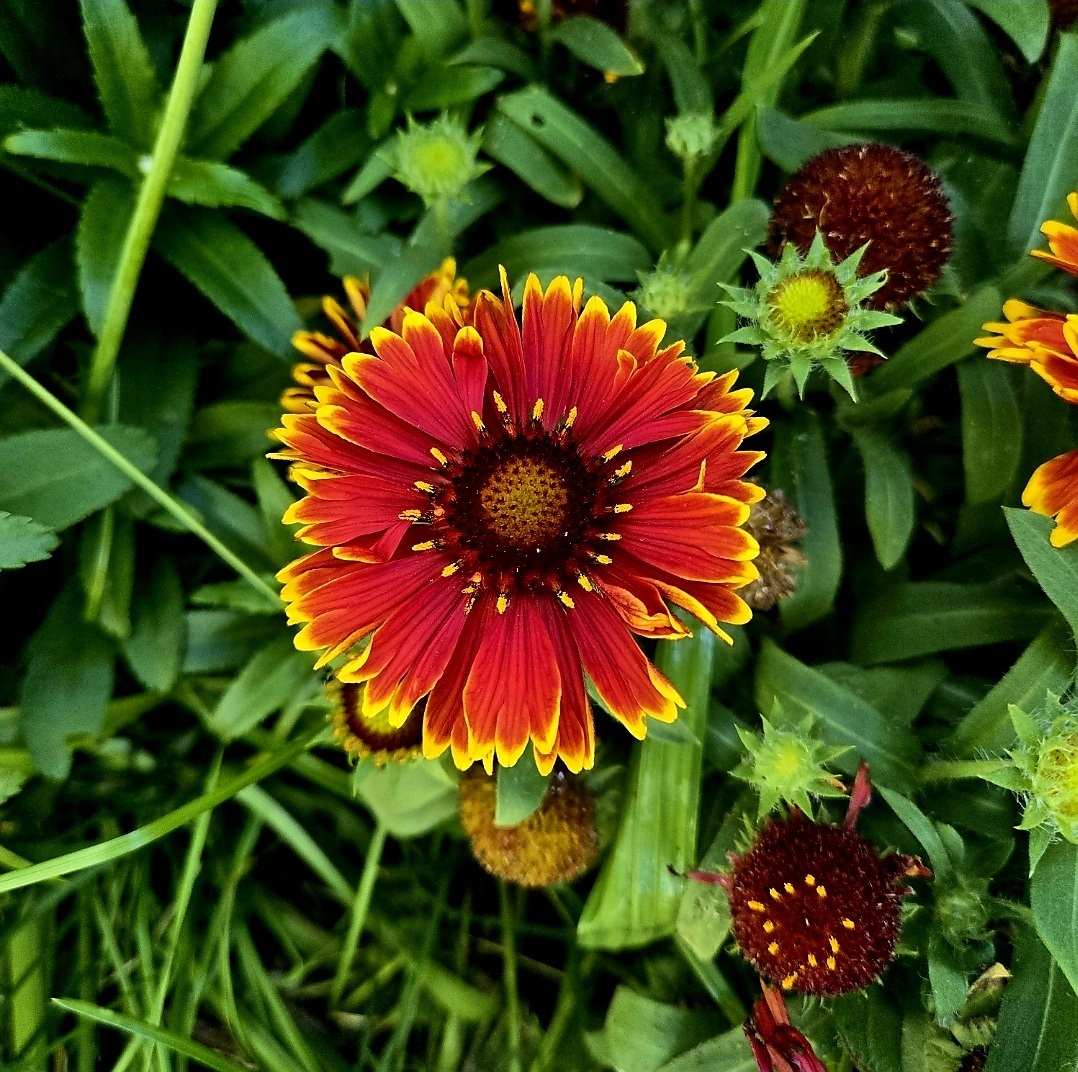 Imagem do fornecedor