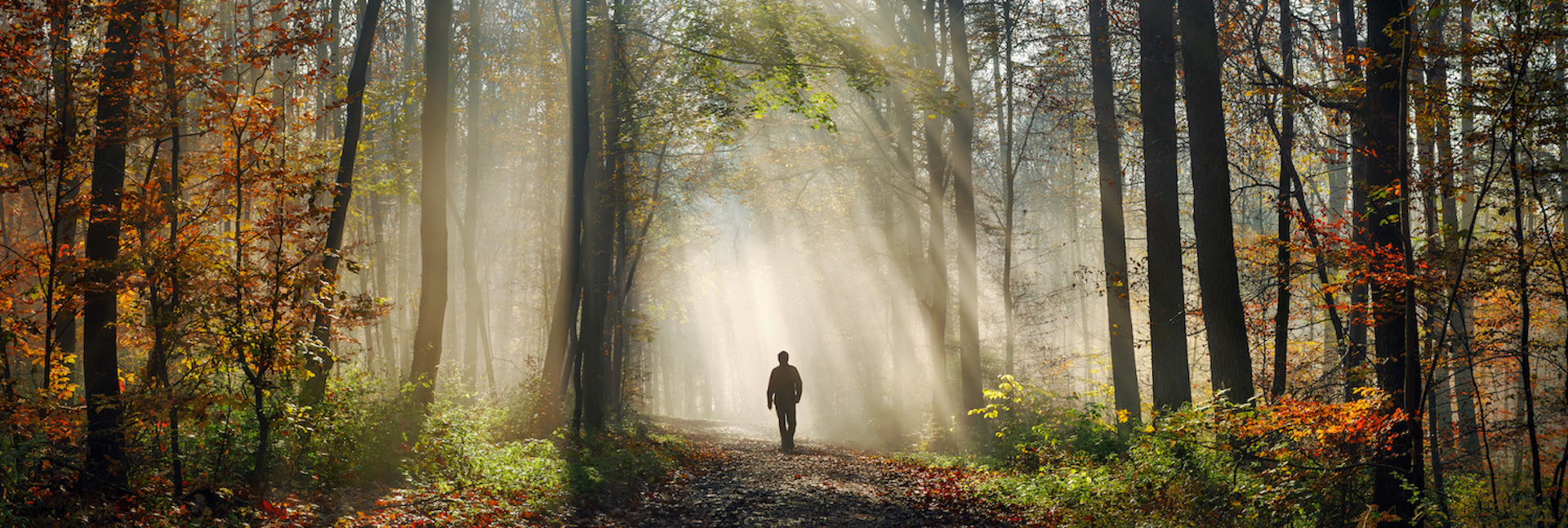 Imagem de apresentação da empresa