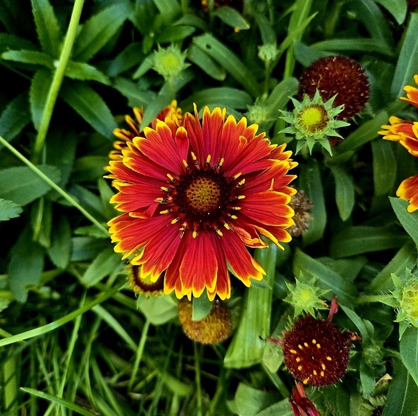 Imagem do fornecedor