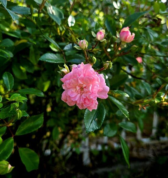 Imagem do fornecedor