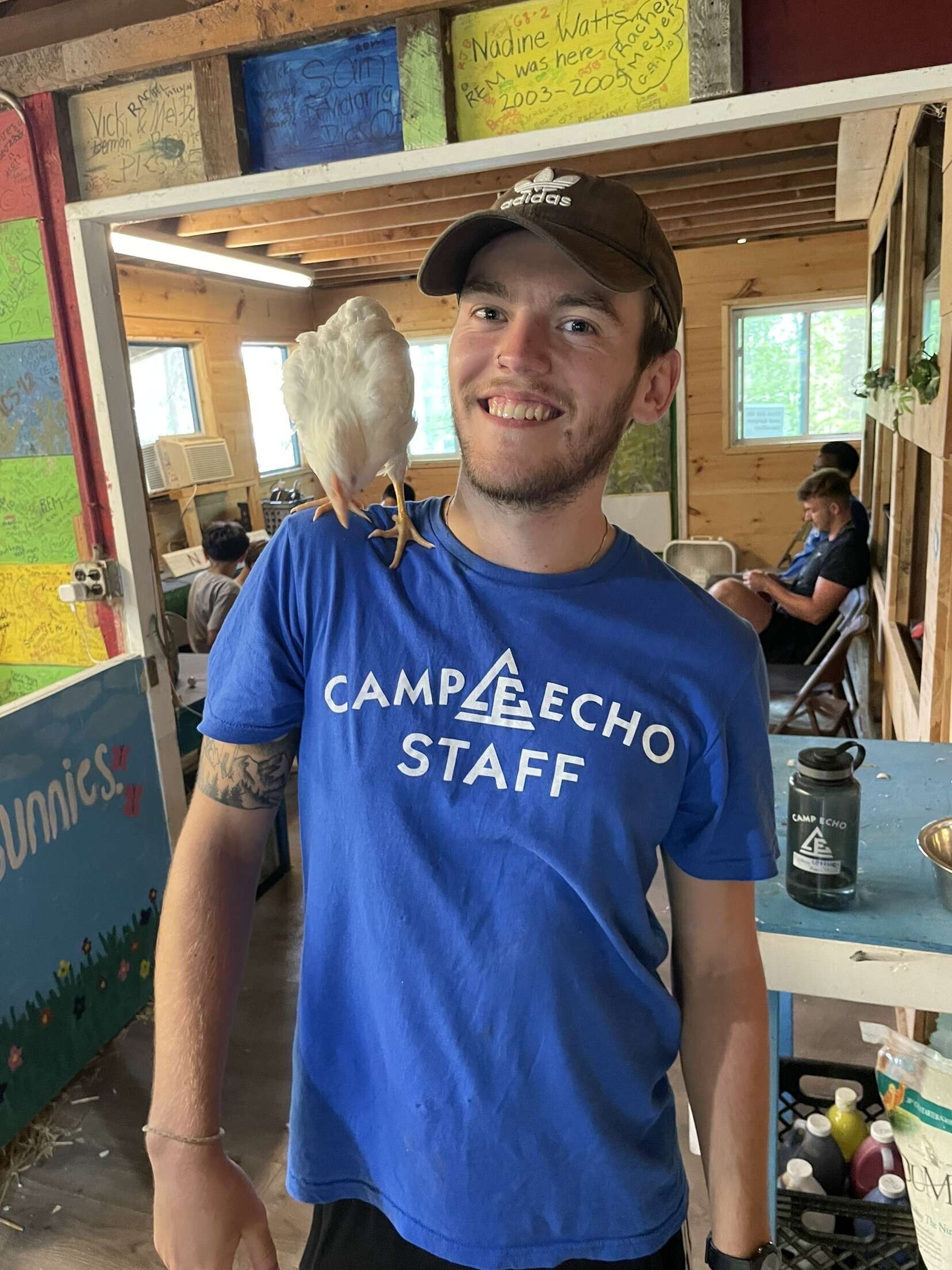 Imagem do fornecedor