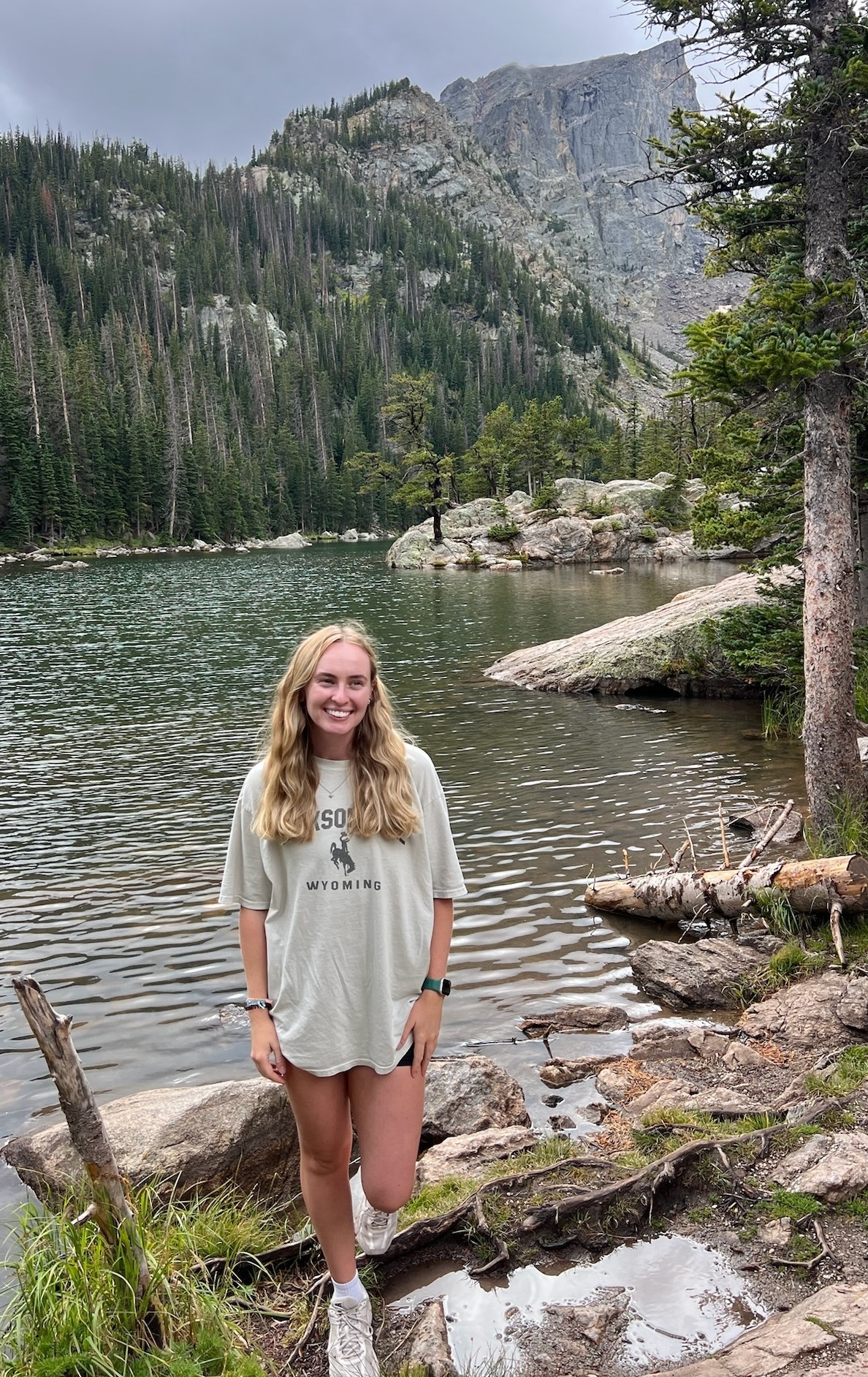 Imagem do fornecedor