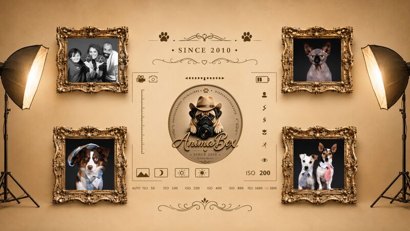 Service image