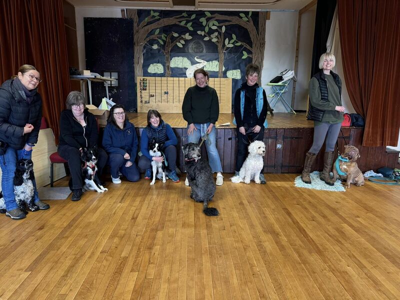 Imagem do fornecedor