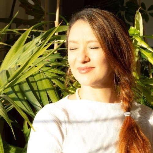 Imagem do fornecedor