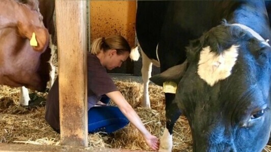 Imagem de apresentação da empresa