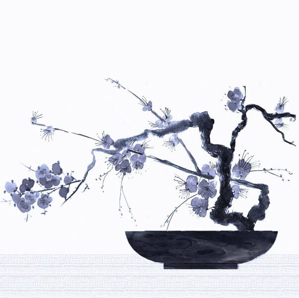 服务项目照片