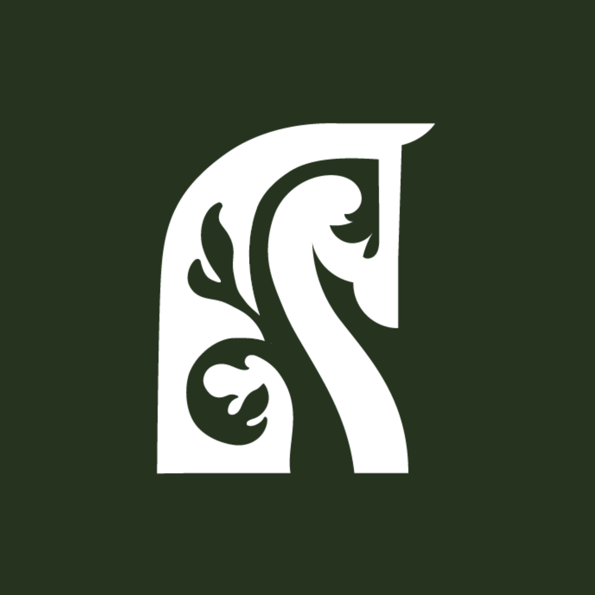 Provider image