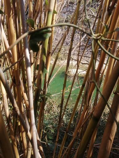 Un petit coin de paradis non loin, entre roseaux, le tumulte du vent et l'eau cristalline. 