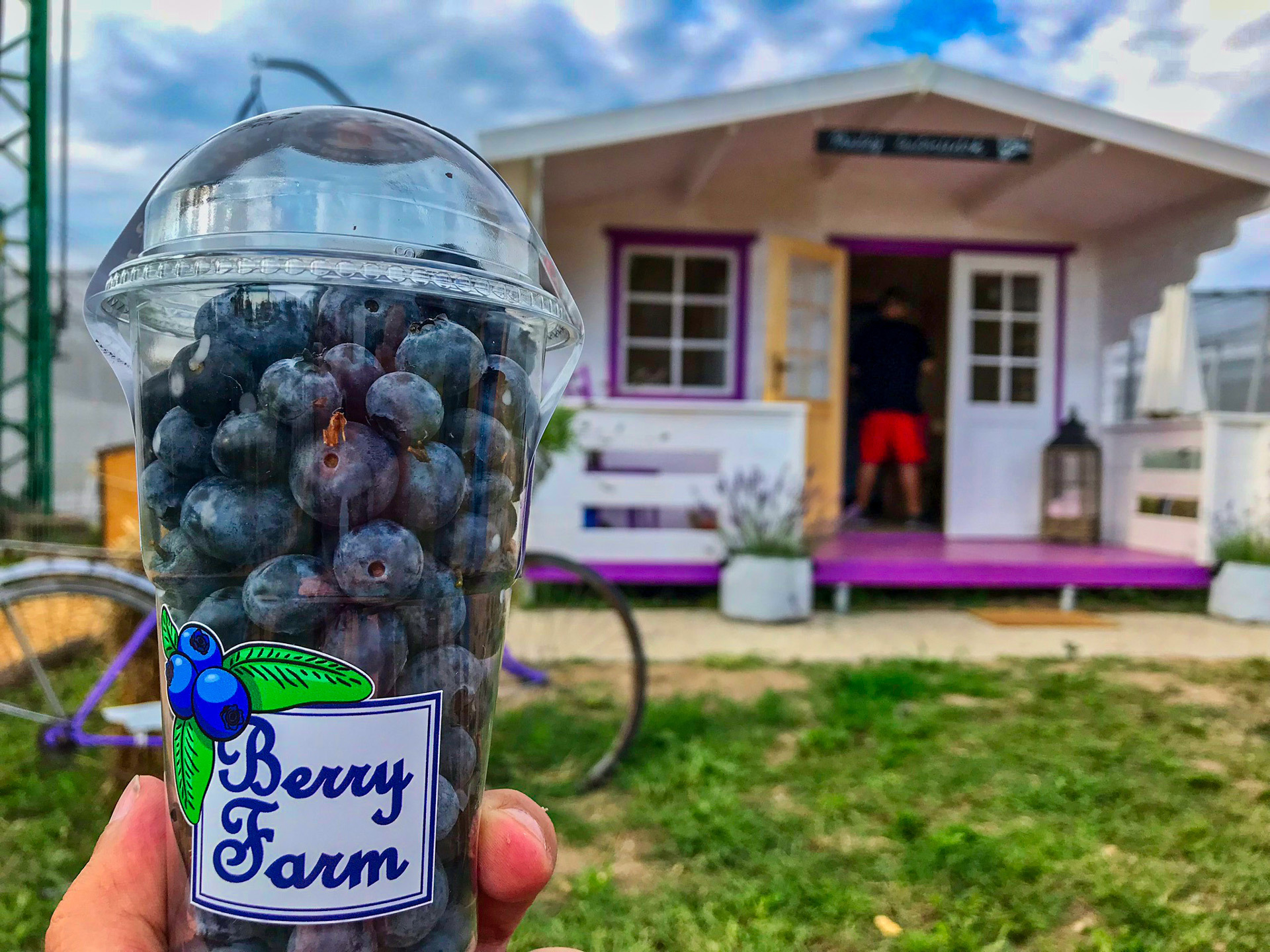 Imagem de apresentação da empresa