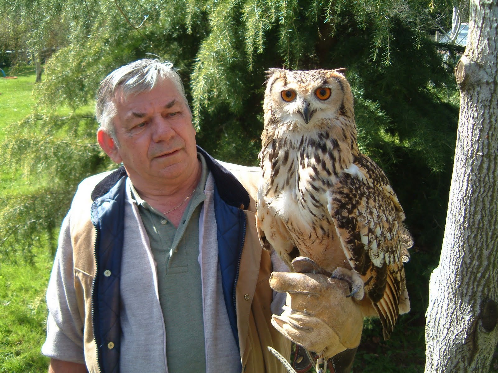 The Cumberland Bird of Prey Centre just outside Carlisle
