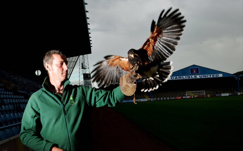 The Cumberland Bird of Prey Centre.