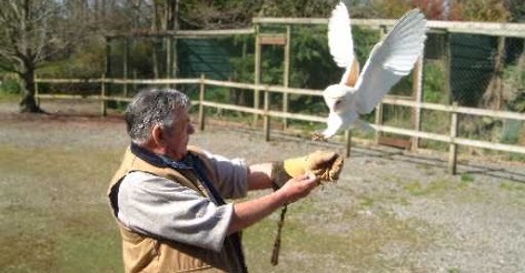 The Cumberland Bird of Prey Centre just outside Carlisle