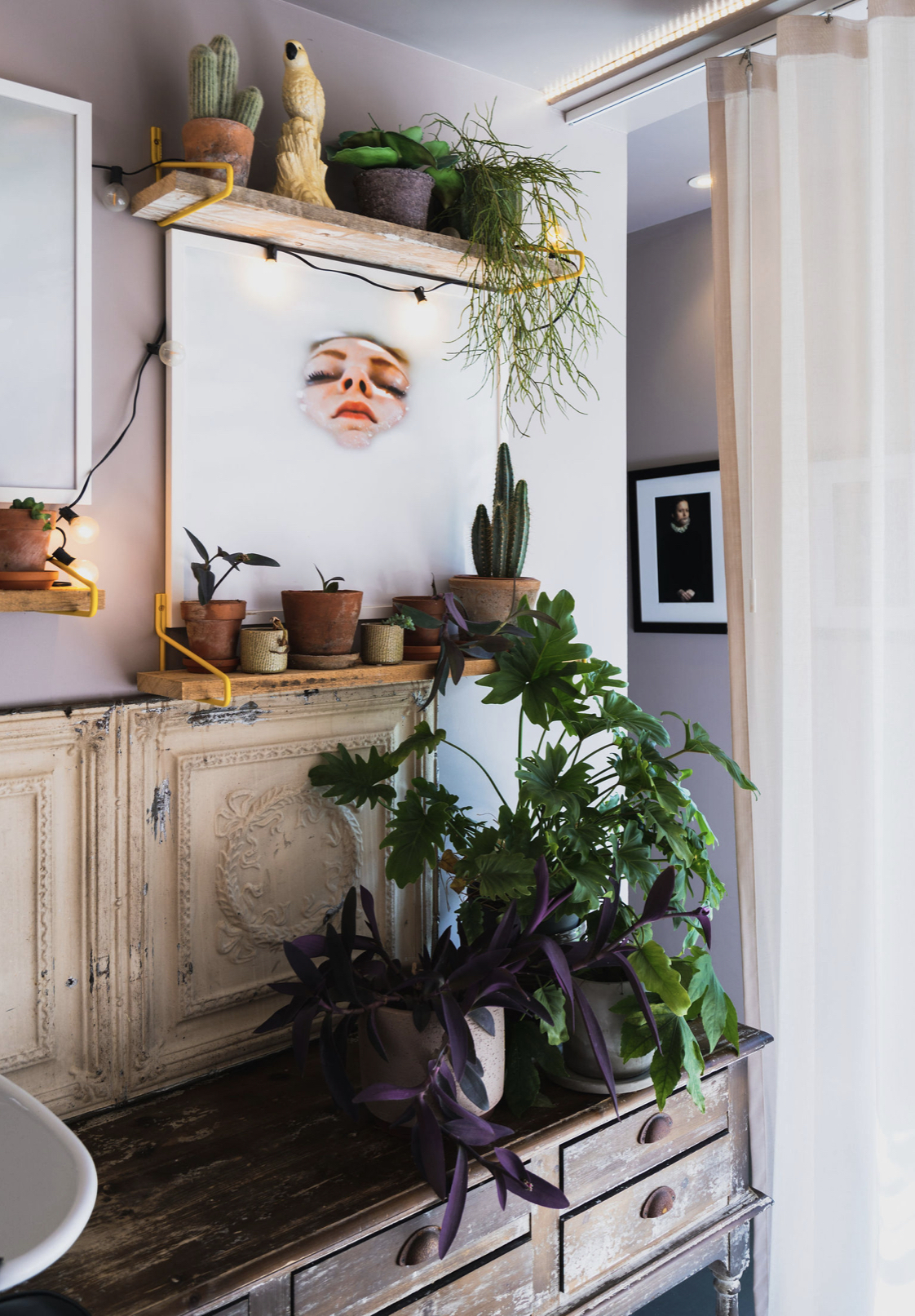 Imagem do fornecedor