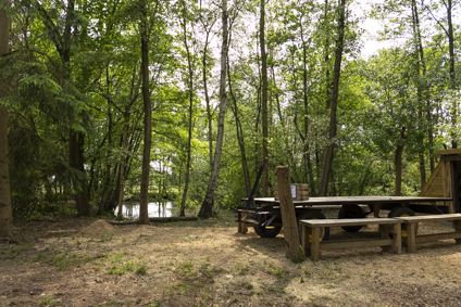 Imagem do fornecedor