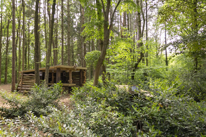 Imagem do fornecedor